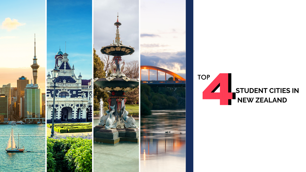 THLD-blog-Top-4-cities-to-study-at-in-NZ-banner-1024x576